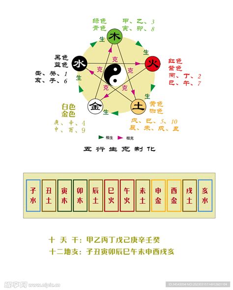 天干 地支 五行|十天干十二地支对应五行 十天干十二地支五行阴阳属性